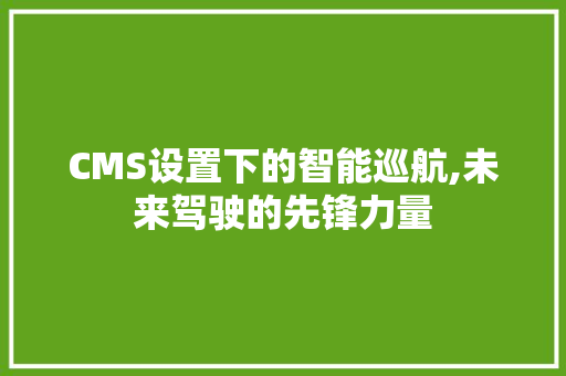 CMS设置下的智能巡航,未来驾驶的先锋力量
