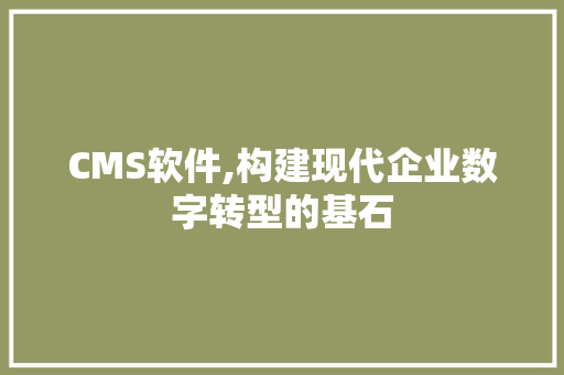 CMS软件,构建现代企业数字转型的基石