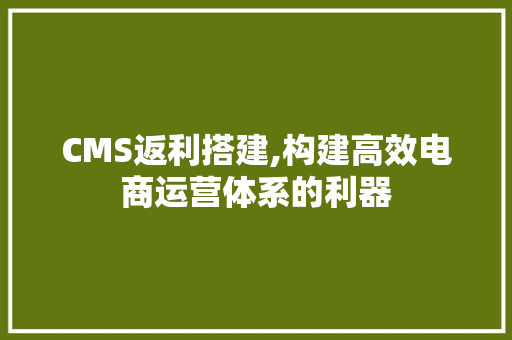 CMS返利搭建,构建高效电商运营体系的利器 必应SEO