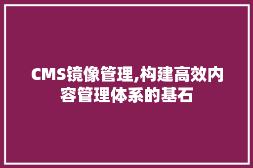 CMS镜像管理,构建高效内容管理体系的基石