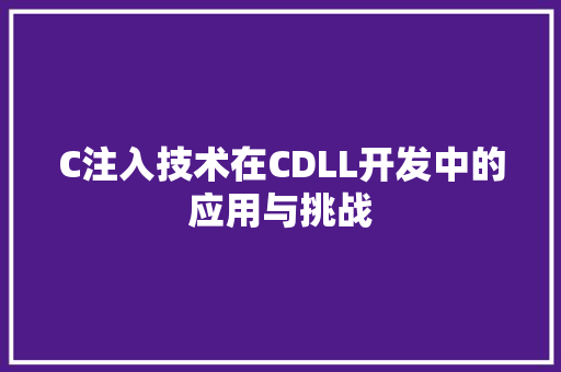 C注入技术在CDLL开发中的应用与挑战