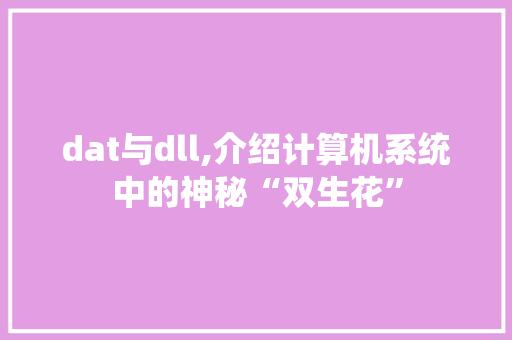 dat与dll,介绍计算机系统中的神秘“双生花”