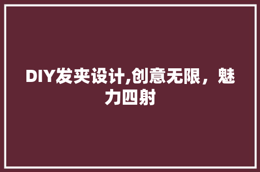 DIY发夹设计,创意无限，魅力四射