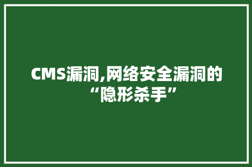 CMS漏洞,网络安全漏洞的“隐形杀手”