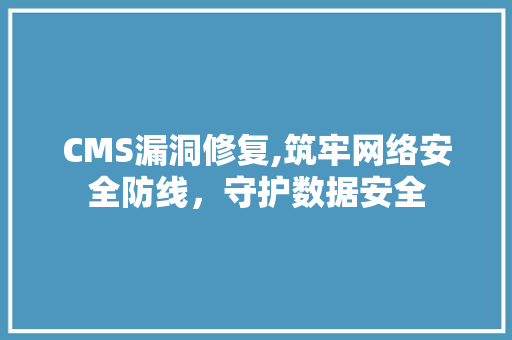 CMS漏洞修复,筑牢网络安全防线，守护数据安全