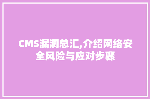 CMS漏洞总汇,介绍网络安全风险与应对步骤