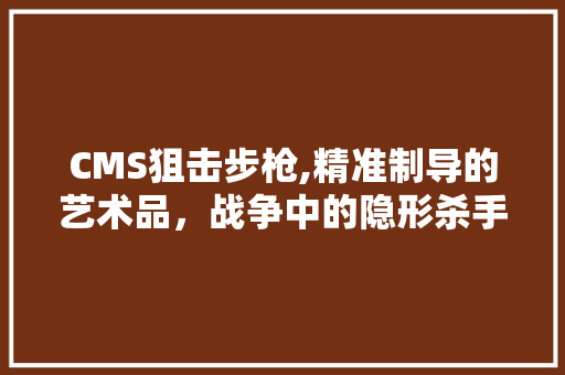 CMS狙击步枪,精准制导的艺术品，战争中的隐形杀手