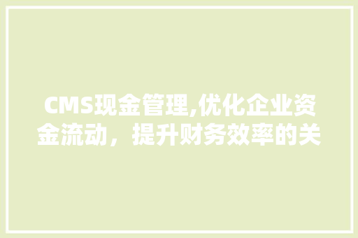 CMS现金管理,优化企业资金流动，提升财务效率的关键步骤