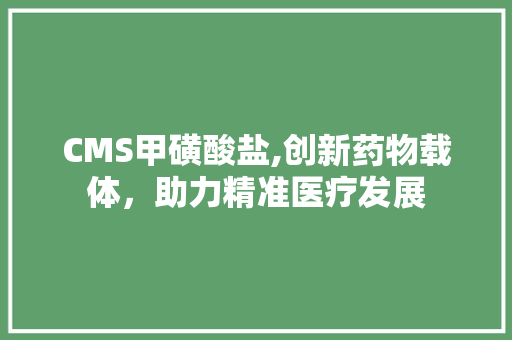 CMS甲磺酸盐,创新药物载体，助力精准医疗发展