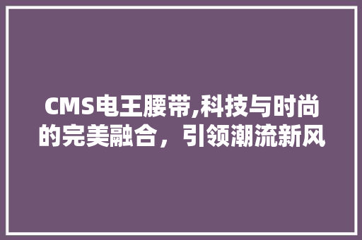 CMS电王腰带,科技与时尚的完美融合，引领潮流新风尚