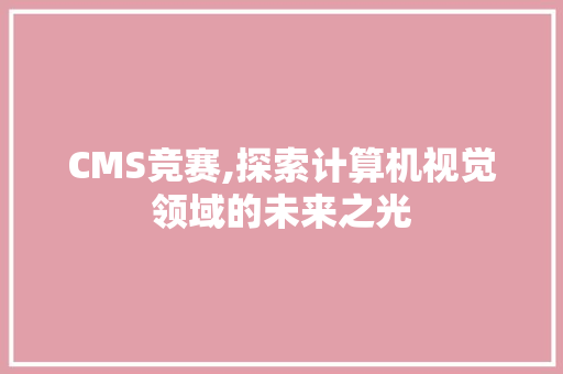 CMS竞赛,探索计算机视觉领域的未来之光