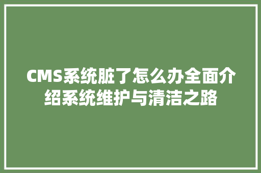 CMS系统脏了怎么办全面介绍系统维护与清洁之路
