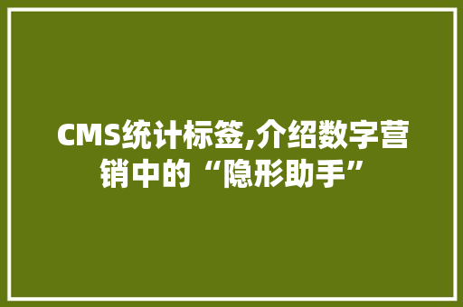 CMS统计标签,介绍数字营销中的“隐形助手”