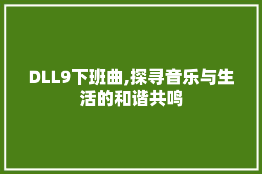 DLL9下班曲,探寻音乐与生活的和谐共鸣