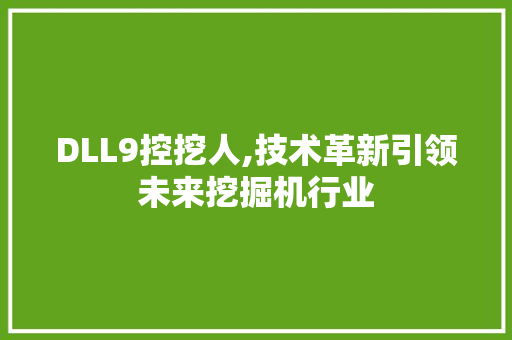 DLL9控挖人,技术革新引领未来挖掘机行业