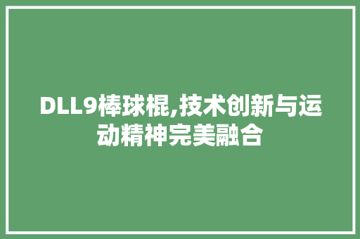 DLL9棒球棍,技术创新与运动精神完美融合