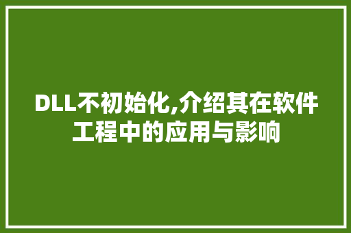 DLL不初始化,介绍其在软件工程中的应用与影响 必应SEO