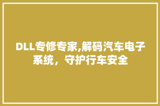 DLL专修专家,解码汽车电子系统，守护行车安全