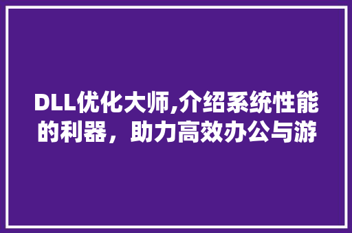 DLL优化大师,介绍系统性能的利器，助力高效办公与游戏体验