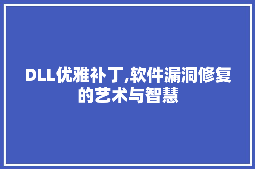 DLL优雅补丁,软件漏洞修复的艺术与智慧