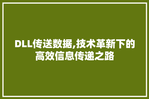 DLL传送数据,技术革新下的高效信息传递之路