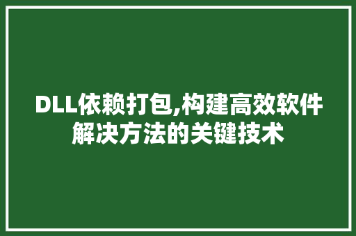 DLL依赖打包,构建高效软件解决方法的关键技术