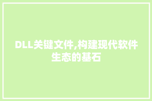 DLL关键文件,构建现代软件生态的基石