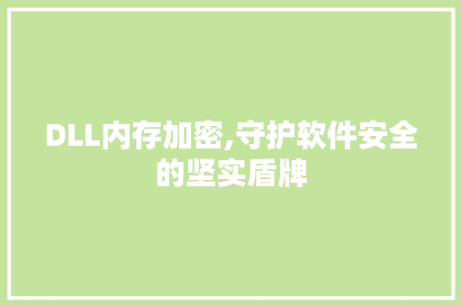DLL内存加密,守护软件安全的坚实盾牌