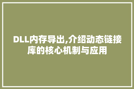 DLL内存导出,介绍动态链接库的核心机制与应用 搜狗SEO