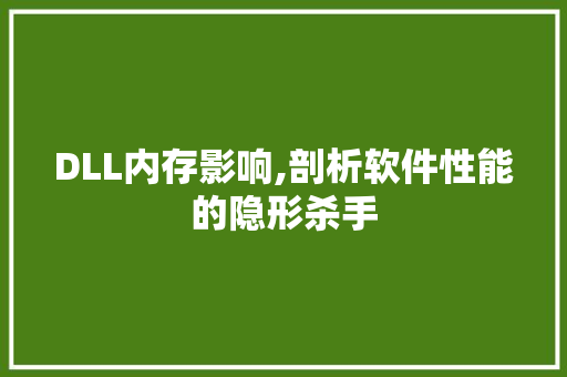 DLL内存影响,剖析软件性能的隐形杀手