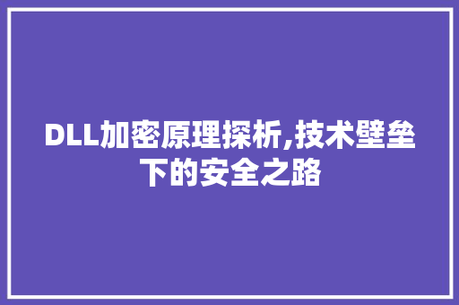 DLL加密原理探析,技术壁垒下的安全之路
