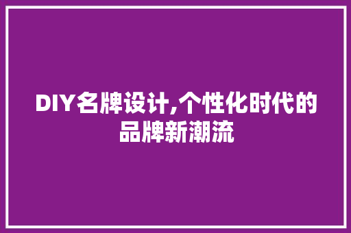DIY名牌设计,个性化时代的品牌新潮流 百度SEO