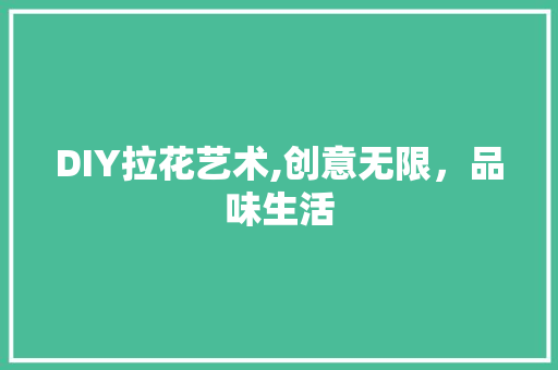 DIY拉花艺术,创意无限，品味生活 百度SEO