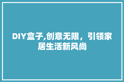 DIY盒子,创意无限，引领家居生活新风尚