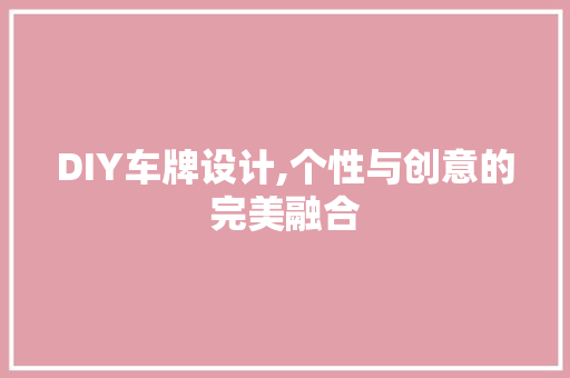 DIY车牌设计,个性与创意的完美融合