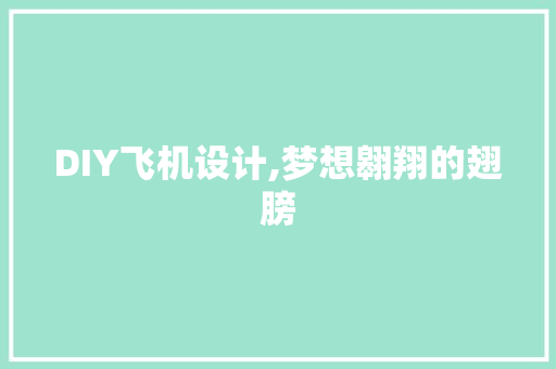 DIY飞机设计,梦想翱翔的翅膀