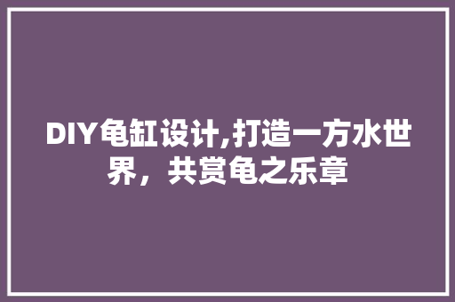 DIY龟缸设计,打造一方水世界，共赏龟之乐章