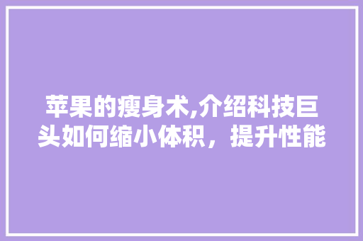 苹果的瘦身术,介绍科技巨头如何缩小体积，提升性能 神马SEO