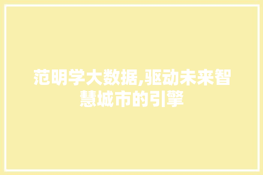 范明学大数据,驱动未来智慧城市的引擎