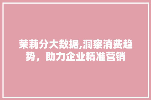 茉莉分大数据,洞察消费趋势，助力企业精准营销 神马SEO