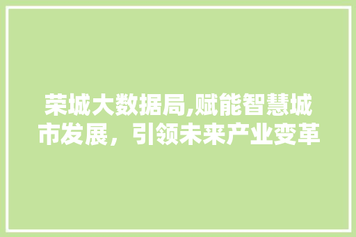荣城大数据局,赋能智慧城市发展，引领未来产业变革