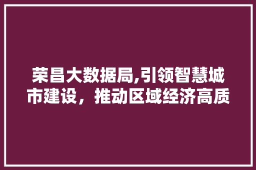 荣昌大数据局,引领智慧城市建设，推动区域经济高质量发展