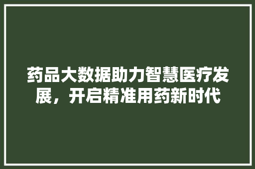 药品大数据助力智慧医疗发展，开启精准用药新时代