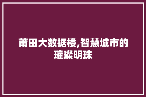 莆田大数据楼,智慧城市的璀璨明珠