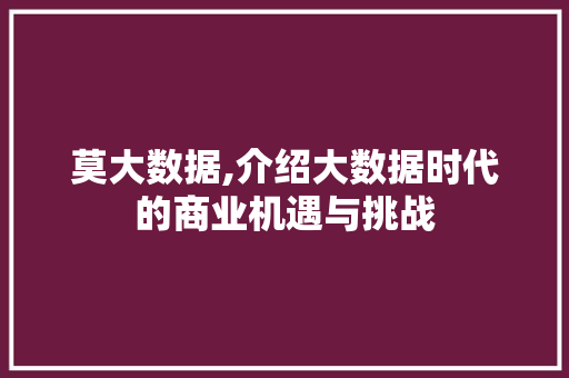 莫大数据,介绍大数据时代的商业机遇与挑战