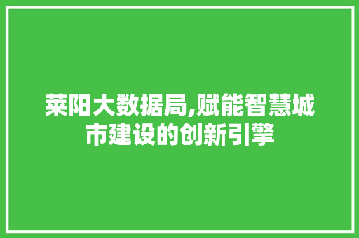 莱阳大数据局,赋能智慧城市建设的创新引擎
