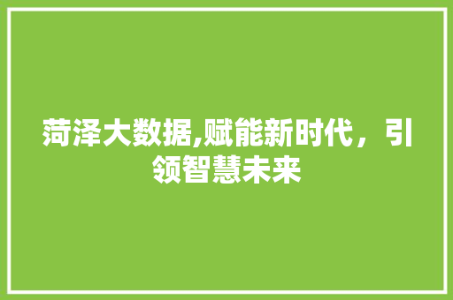 菏泽大数据,赋能新时代，引领智慧未来