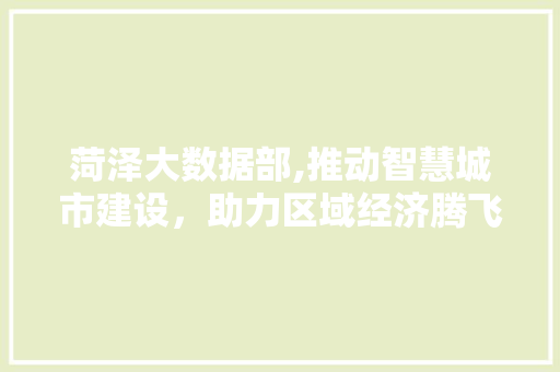 菏泽大数据部,推动智慧城市建设，助力区域经济腾飞