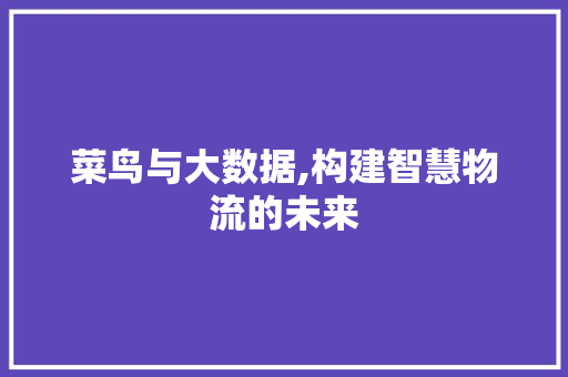 菜鸟与大数据,构建智慧物流的未来