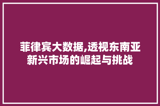 菲律宾大数据,透视东南亚新兴市场的崛起与挑战